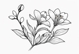 One snowdrop, One hawthorn flower, and Two honeysuckle blooms, tattoo idea