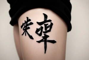 30 12 2006 in kanji sosho for a man tattoo idea