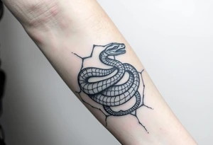 Snake wrapped in web tattoo idea