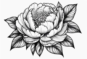 peony tattoo tattoo idea