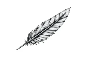 Feather tattoo idea