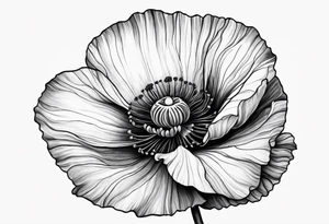 Lone poppy growing out of boulder tattoo idea