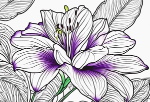 An outline of a rio dipladenia flower with a green and purple background tattoo idea