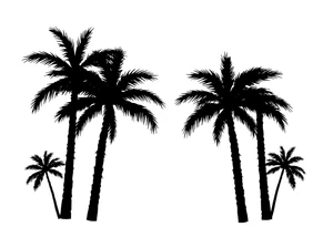 Palm trees, silhouette,  florida tattoo idea