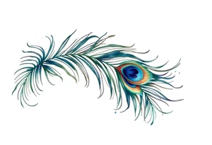 Peacock feather tattoo idea