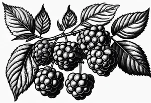 a long raspberry branch with lots of leaves and no shading tattoo idea