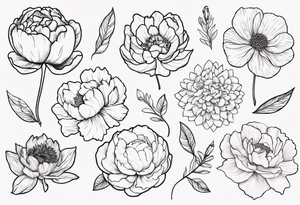 cohesive tattoo design with 8 flowers: peony, carnation, daffodil, daphne, dahlia, desiree, daisy and rose and label the flower name tattoo idea