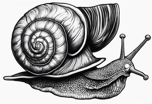 Snail with pirate hat tattoo idea