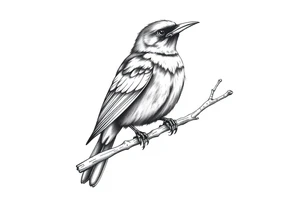 european blackbird male sitting on a branch tattoo idea
