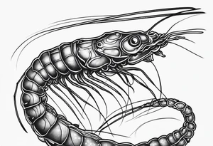 Amano shrimp tattoo idea