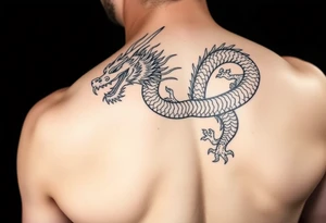 Traditional Japanese dragon full back tattoo idea
