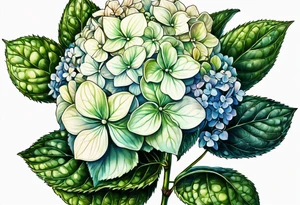Single hydrangea with stem tattoo idea