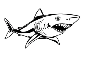 American traditional shark tattoo idea