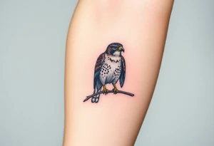 Sparrowhawk sitting on a branch tattoo idea