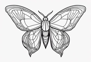 Moth tattoo idea