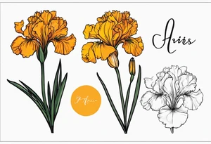 The names heather and Tayah as the stem of a marigold and a iris flowers tattoo idea