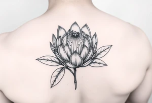 Protea flower with leafs tattoo idea