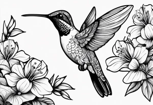 humming bird tattoo idea