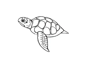 Sea turtle  tribal tattoo idea