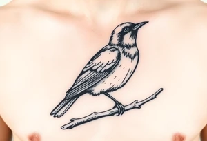 european blackbird male sitting on a branch tattoo idea