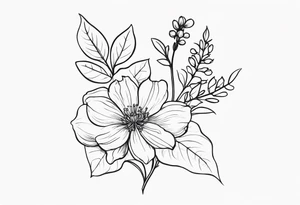 June birth flower, January birth flower, April birth flower, April