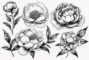 peony tattoo idea
