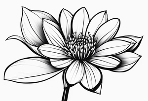 one very simple and no detailed waratha flower with stem in black and white, the few lines possible tattoo idea