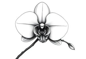 orchid with stem and leaves tattoo idea