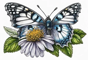 ageratina altissima tattoo idea
