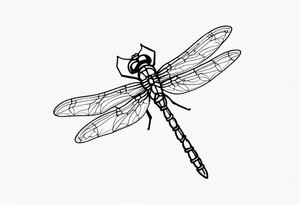 fine line barbed wire small dragonfly tattoo idea