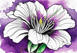 An outline of a rio dipladenia flower with a green and purple watercolor mix in the background tattoo idea