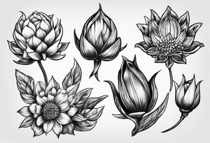 Seed pods tattoo idea
