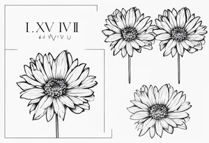 aster flower with roman numerals IX-VI-LVII tattoo idea