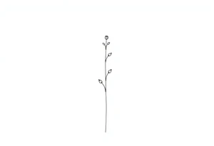 Simple, delicate, fine line, plant. Vertical tattoo idea