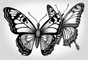 a butterfly and a moth next to each other small tattoo idea