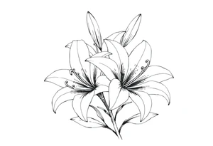 White lillies that lol like an antique etching tattoo idea