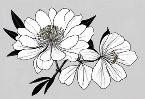 one very simple and no detailed golden wattle flower with stem in black and white, the few lines possible, fine-line tattoo idea