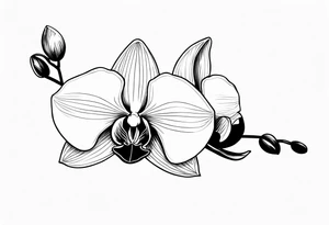 A simple wrap around orchid with pretty details tattoo idea