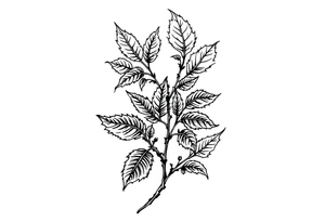 American traditional blackberry vine with leaves tattoo idea