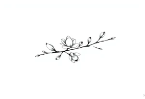 Magnolia branch long with different small almost closed flowers, with botanical details and dots tattoo idea