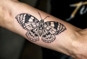 A delicate moth with intricately patterned wings. The wings are outlined in fine black ink in old chool style tattoo idea