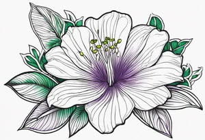 An outline of a rio dipladenia flower with a green and purple background tattoo idea