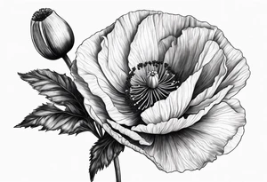 Poppy flower tattoo idea