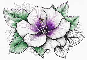 An outline of a rio dipladenia flower with a green and purple watercolor in the background tattoo idea