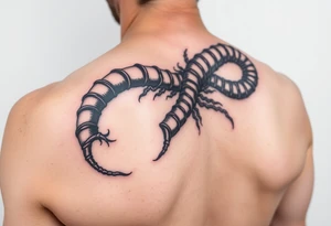 long centipede,heavy black segmented bodies, whip-like legs, and that coiled, almost calligraphic flow tattoo idea