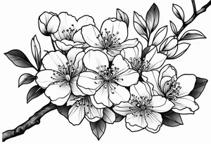 Cherry blossom flowers and branches no color, 3 inches, detailed, dark lines tattoo idea