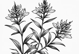 Fireweed tattoo idea