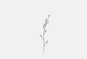 Simple, delicate, fine line, plant. Vertical tattoo idea