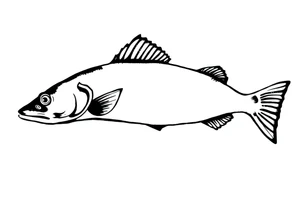 Flathead catfish tattoo idea