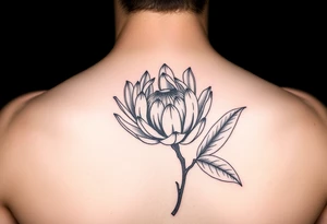 Protea flower with leafs tattoo idea